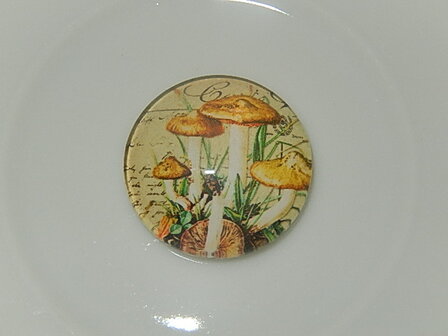 CBG121R18 Glascabochon met paddestoelen 1 st rond 18 mm