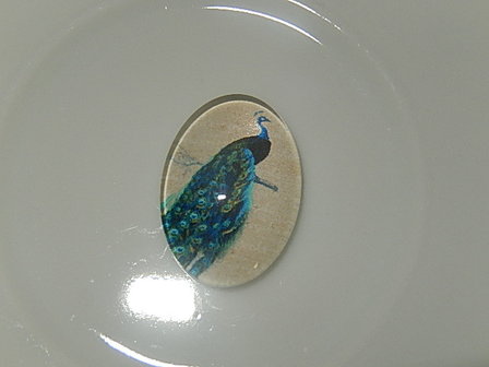 CBG131O18 Glascabochon met pauwen 1 st ovaal 18x13 mm